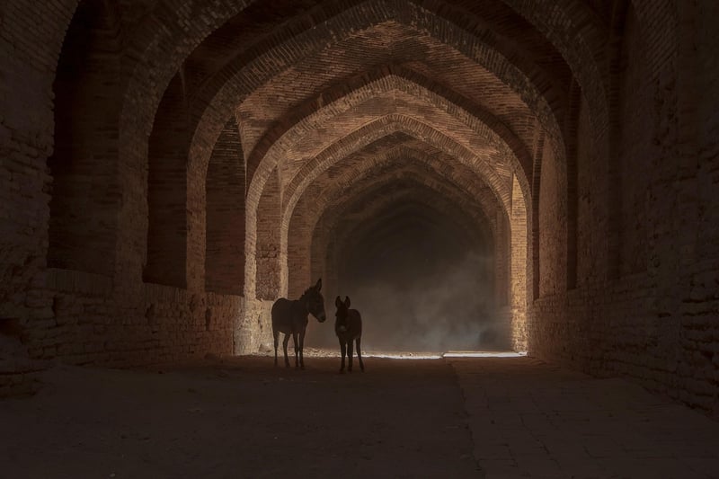 Grand Entrance